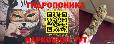 винт Шахты