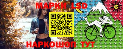 амф Шебекино