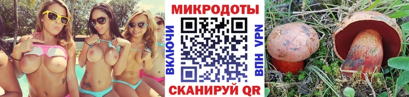 Псилоцибиновые грибы мицелий  Пермь 