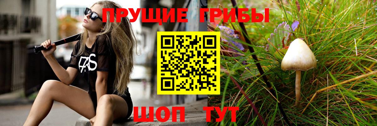 Галлюциногенные грибы мицелий Пермь