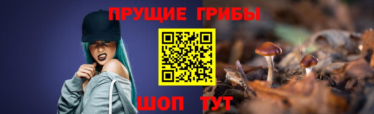 Псилоцибиновые грибы Psilocybine cubensis  наркотики  Пермь  Вход с VPN 